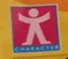 Character Options Ltd.