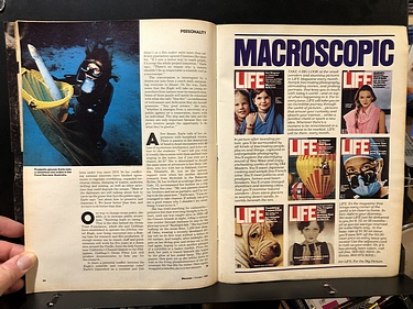 Discover Magazine - October, 1980