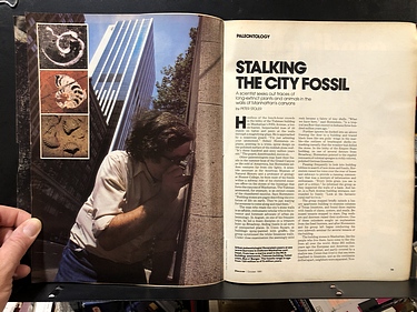 Discover Magazine - October, 1980