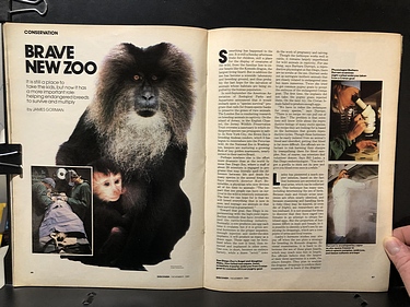 Discover Magazine - November, 1980