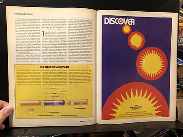 Discover Magazine - June, 1981