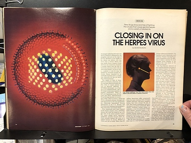 Discover Magazine - October, 1981