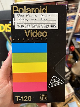 Muskegon - Tape 1667 - #0875 - Merlin of the Crystal Cave, Dave Wolper Men in Crisis, Sherlock Holmes, Our Hearts were Young and Gay